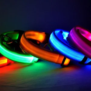 Leuchtendes LED Hundehalsband